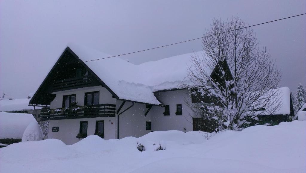 Apartments & Rooms Malej Bohinj Εξωτερικό φωτογραφία